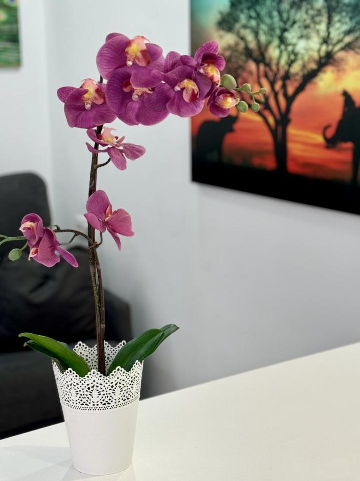 San Eugenio Charming Renovated Apartment Tenerife Costa Adeje  Eksteriør bilde