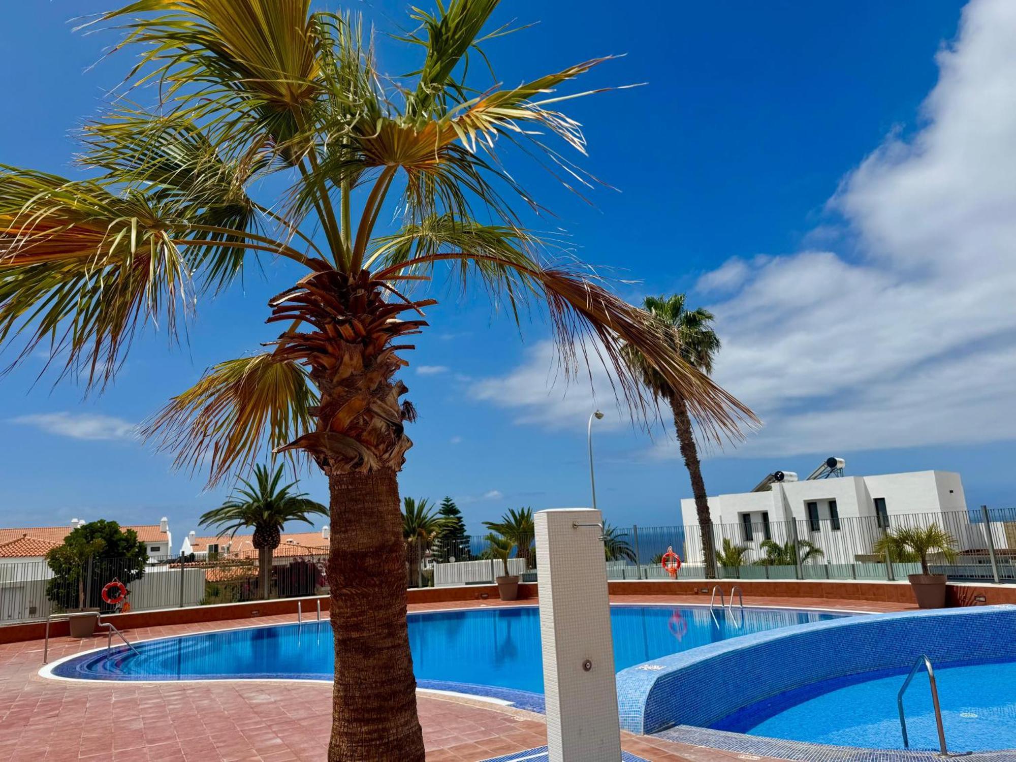 San Eugenio Charming Renovated Apartment Tenerife Costa Adeje  Eksteriør bilde